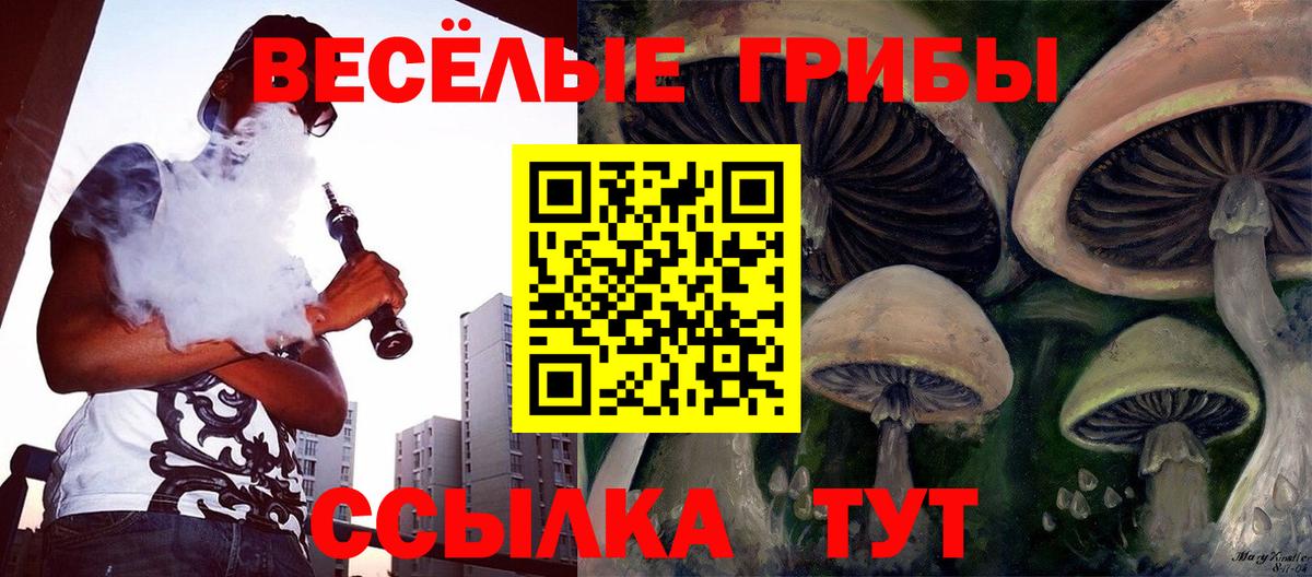 Галлюциногенные грибы GOLDEN TEACHER Нальчик